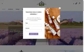 Seigneurieiledorleans.com Screenshot 2024-06-12 20:49:59