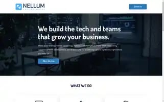 Nellum.com Screenshot 2024-06-14 00:31:42