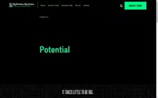 Mentorbig.org Screenshot 2024-07-07 16:13:32