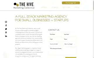 Thehivemarketingcollective.com Screenshot 2024-06-14 01:19:07