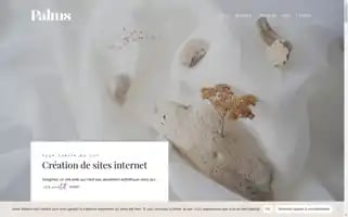 Palms-studio.fr Screenshot 2024-06-16 04:23:18