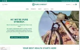 Thesynergycompany.com Screenshot 2024-05-14 11:21:04