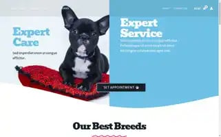 Capitan-kennel.com Screenshot 2024-05-27 04:11:59