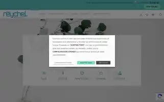 Reychel.com Screenshot 2024-06-11 10:24:15