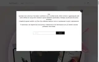 Nailscoach.shop Screenshot 2024-05-03 08:52:30