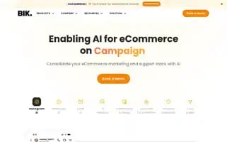 Bik.ai Screenshot 2024-06-28 18:56:24