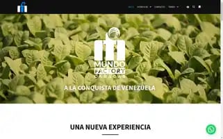 Mundofactoryccs.com Screenshot 2024-05-19 08:55:29