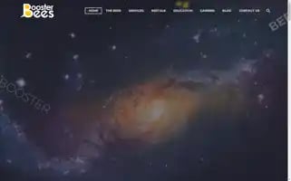 Boosterbees.com Screenshot 2024-06-26 03:55:04