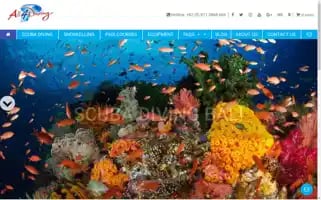 All4divingindonesia.com Screenshot 2024-06-11 07:49:22