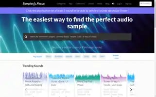 Samplefocus.com Screenshot 2024-06-12 22:52:49