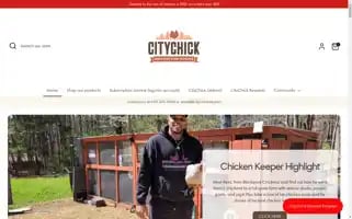 Citychickatl.com Screenshot 2024-05-05 05:51:47