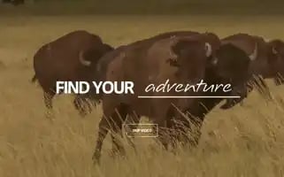 Findyourpark.com Screenshot 2024-05-04 23:49:56