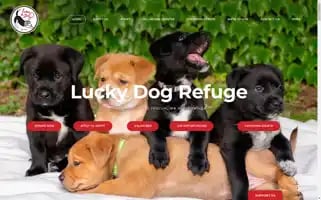 Luckydogrefuge.com Screenshot 2024-07-01 11:32:35