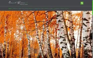 Greeneyewear.com Screenshot 2024-06-15 11:18:35