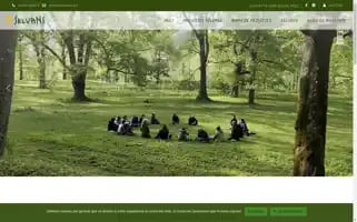 Selvans.es Screenshot 2024-05-20 18:51:39