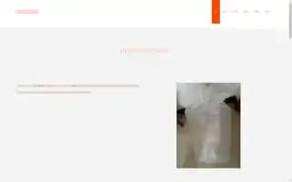 Dongzhanxcl.com Screenshot 2024-07-09 20:47:04