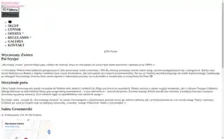 Wyczesanyzwierz.pl Screenshot 2024-05-21 22:43:50