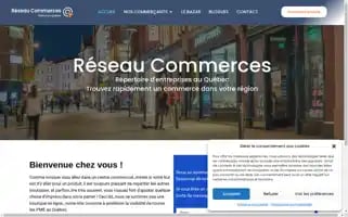 Reseaucommerces.com Screenshot 2024-07-04 04:59:29