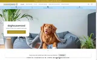 Doghousemood.com Screenshot 2024-05-03 20:17:23