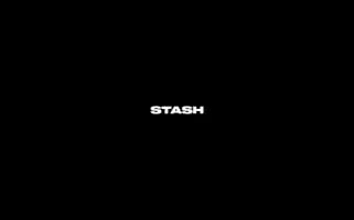 Stashfamily.com Screenshot 2024-07-06 21:50:44