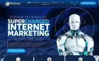Platinumwebmarketing.com Screenshot 2024-06-12 22:02:10