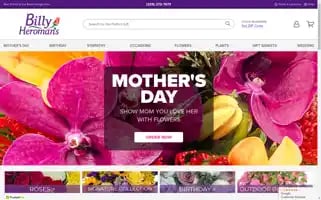 Billyheromans.com Screenshot 2024-05-08 19:16:19