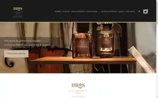 Sas-db2s.com Screenshot 2024-05-20 00:48:09