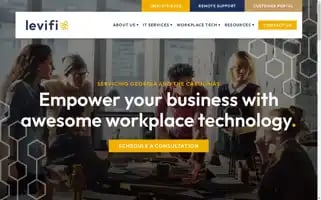 Levifi.com Screenshot 2024-07-01 17:39:27