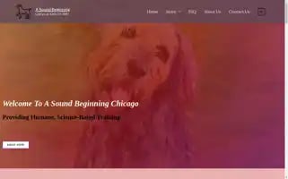 Asoundbeginningchicago.com Screenshot 2024-05-19 00:47:54