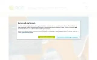 Dgsf.org Screenshot 2024-06-16 10:52:40