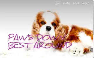 Xoxodoggyhotelanddaycare.com Screenshot 2024-04-18 09:42:02