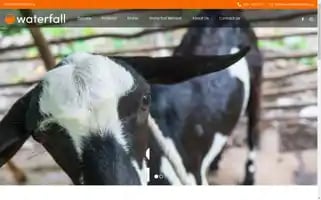 Waterfallcharity.org Screenshot 2024-06-26 21:09:27