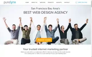 Purelynx.com Screenshot 2024-07-02 21:20:16