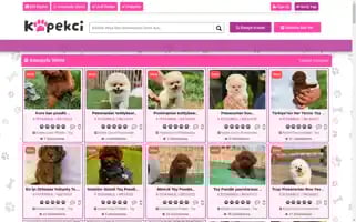 Kopekci.com Screenshot 2024-07-03 12:27:56