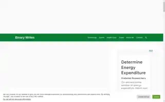 Binarywrites.com Screenshot 2024-05-20 04:20:08