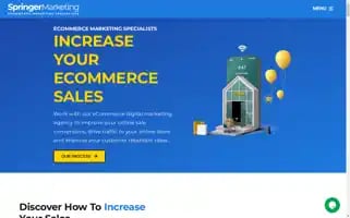 Springermarketing.co.uk Screenshot 2024-07-02 06:18:32