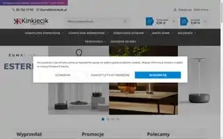 Kinkiecik.pl Screenshot 2024-07-06 15:16:00