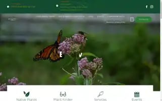 Beechhollowfarms.com Screenshot 2024-07-02 22:06:58