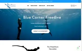 Bluecornerfreedive.com Screenshot 2024-05-15 14:49:06