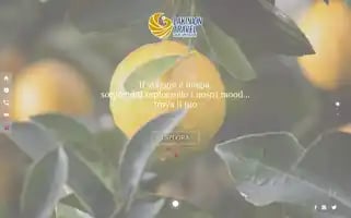 Lakiniontravel.com Screenshot 2024-04-25 20:08:51