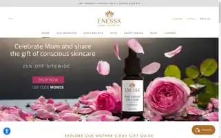 Enessa.com Screenshot 2024-05-05 14:36:24