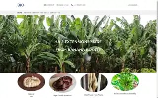 Biojigsaw.com Screenshot 2024-05-19 01:12:58