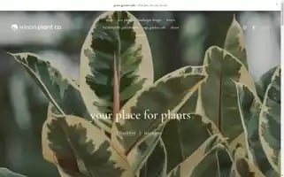 Wilsonnurseriesky.com Screenshot 2024-06-12 20:48:07