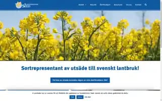 Scandinavianseed.se Screenshot 2024-07-04 18:59:46
