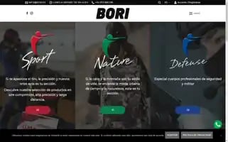 Bori.es Screenshot 2024-07-10 06:24:25