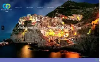 Accurateoverseastour.com Screenshot 2024-04-22 23:57:05