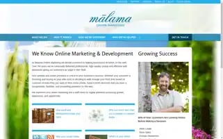 Webmalama.com Screenshot 2024-06-11 18:22:43