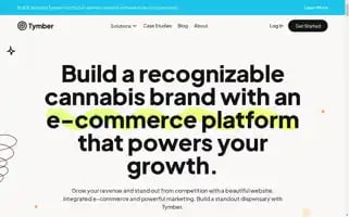 Tymber.io Screenshot 2024-07-04 09:16:15