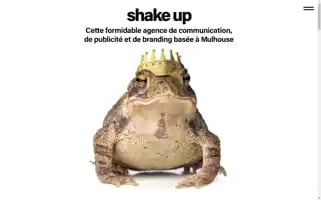 Shakeup.biz Screenshot 2024-06-17 02:09:35