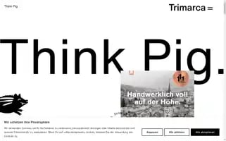 Trimarca.ch Screenshot 2024-07-02 03:06:07